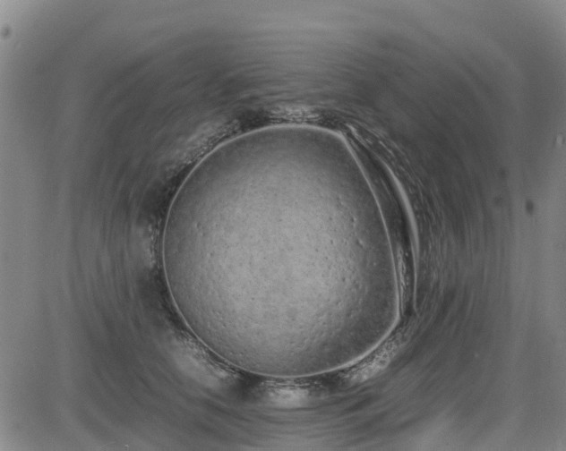 X0000085010658200703051248