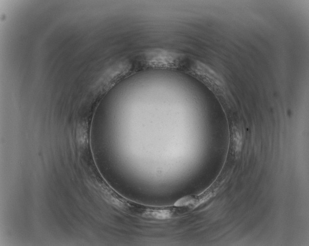 X0000085010665200703051248