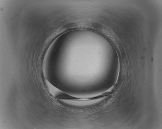 X0000085010673200703051248