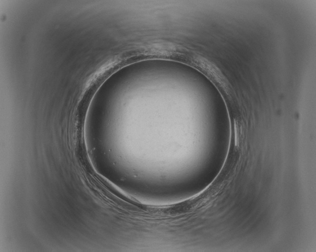X0000085010675200703051248
