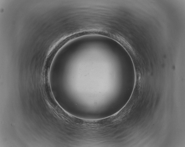 X0000085010676200703051248