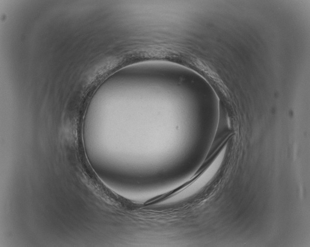X0000085010681200703051248