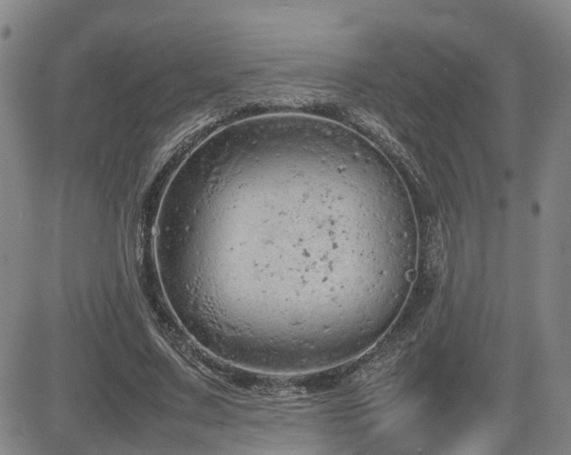 X0000085010683200703051248