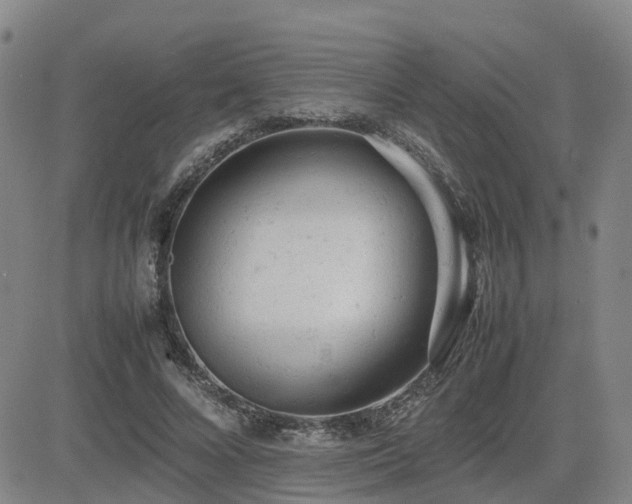 X0000085010688200703051247