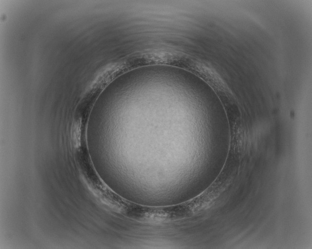 X0000085010694200703051247