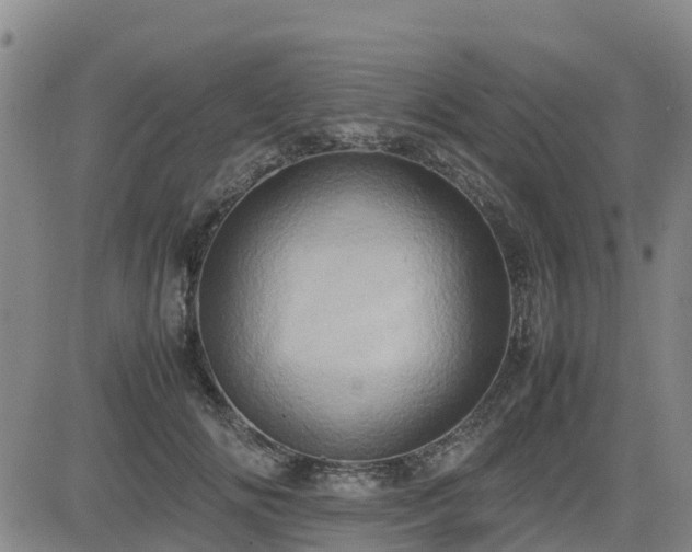 X0000085010702200703051247