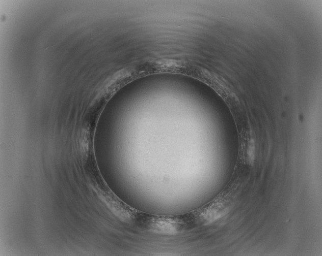 X0000085010710200703051247