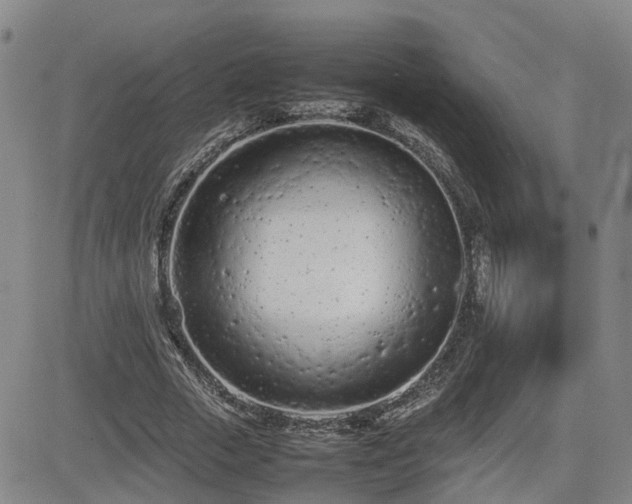X0000085010729200703051246