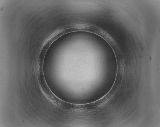 X0000085010730200703051246