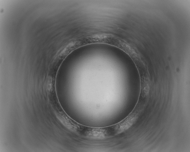 X0000085010758200703051247