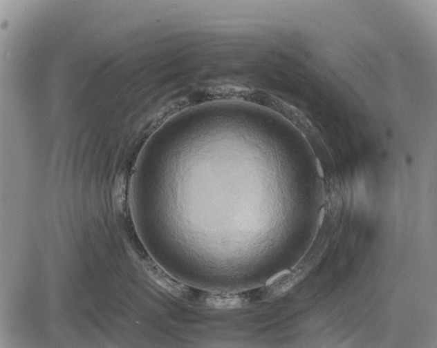 X0000085010767200703051247