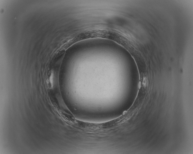 X0000085010771200703051246