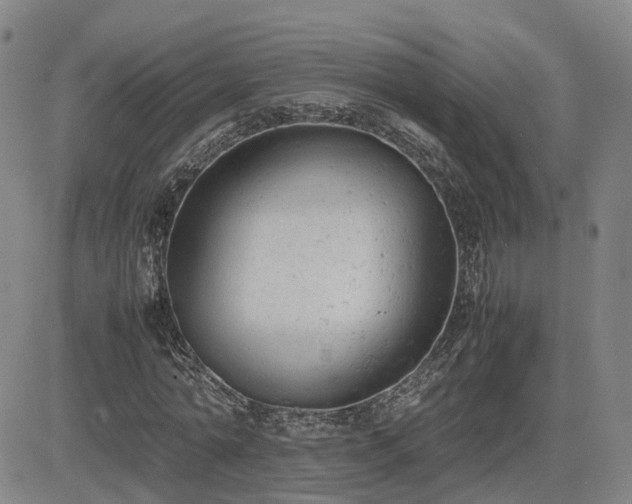 X0000085010774200703051246
