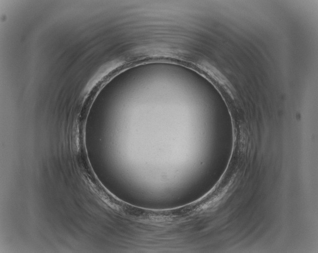 X0000085010782200703051246