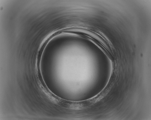 X0000085010788200703051246