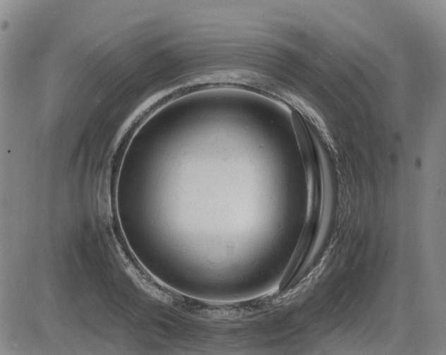 X0000085010792200703051246