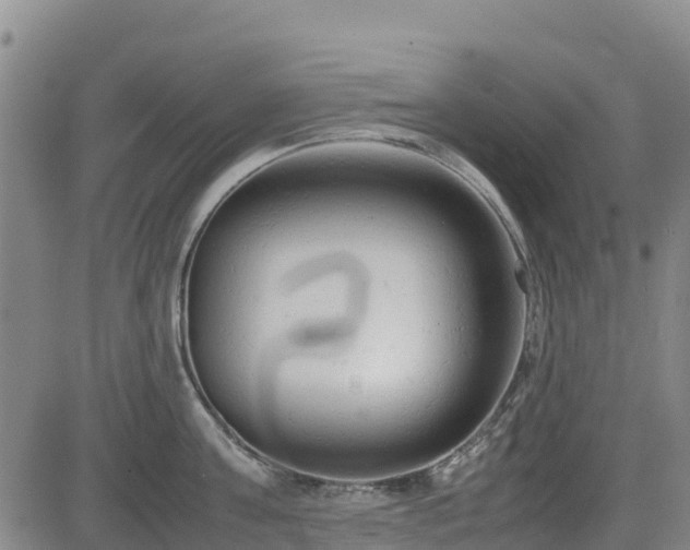 X0000085010811200703051245