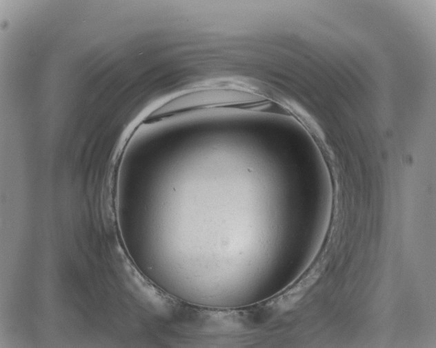 X0000085010816200703051245