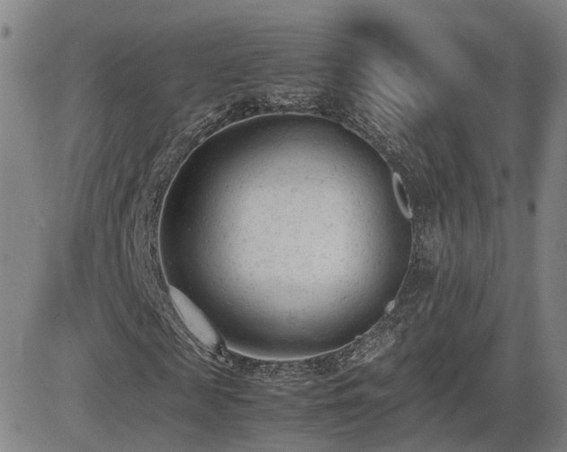 X0000085010817200703051245