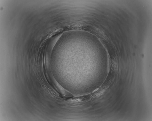 X0000085010818200703051245