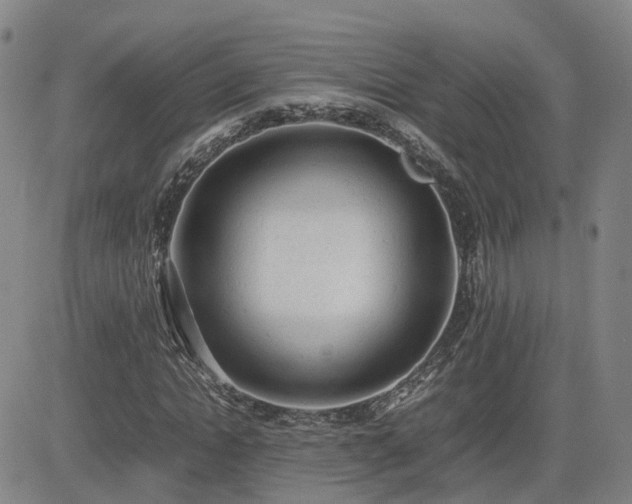 X0000085010822200703051245