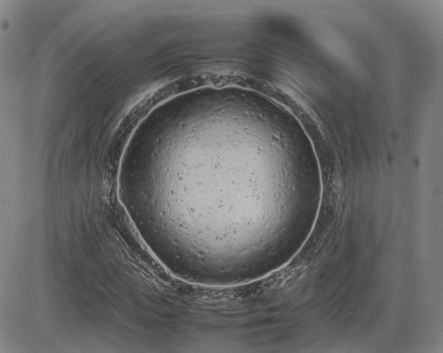 X0000085010823200703051245