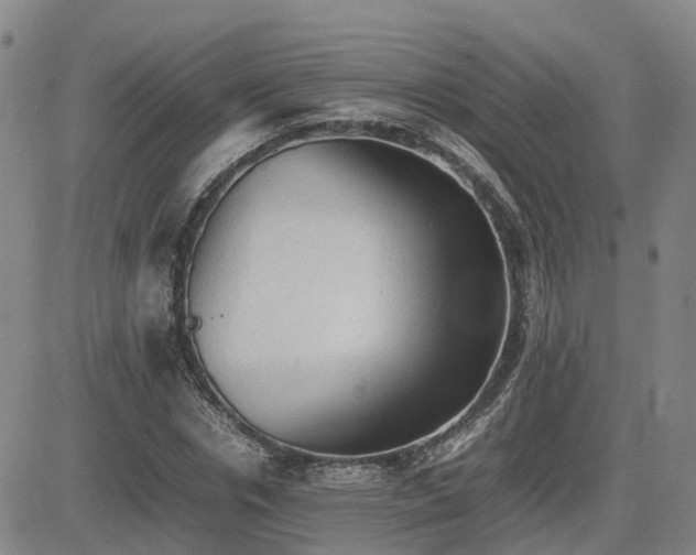 X0000085010826200703051245