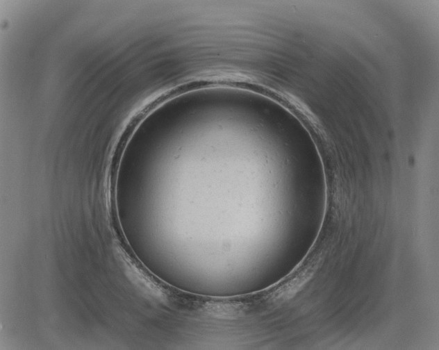 X0000085010840200703051245