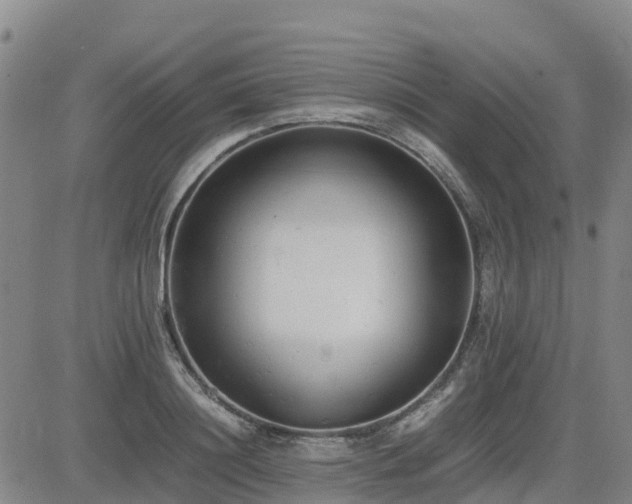 X0000085010844200703051245