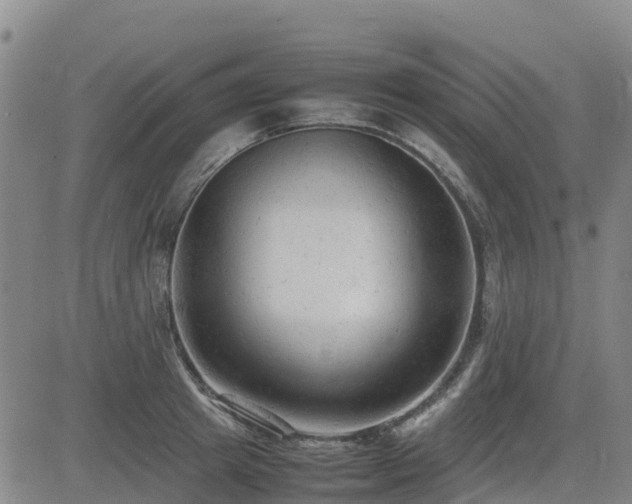 X0000085010849200703051245