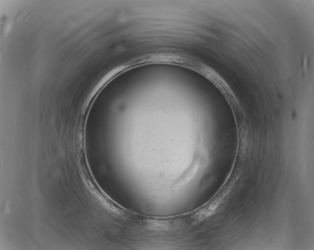 X0000085010852200703051245