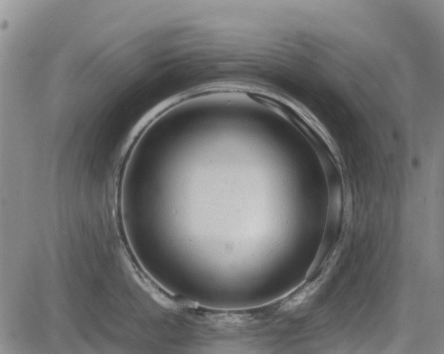 X0000085010862200703051245