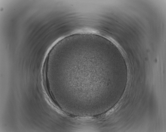 X0000085010864200703051245