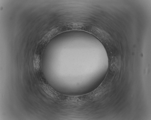 X0000085010866200703051244