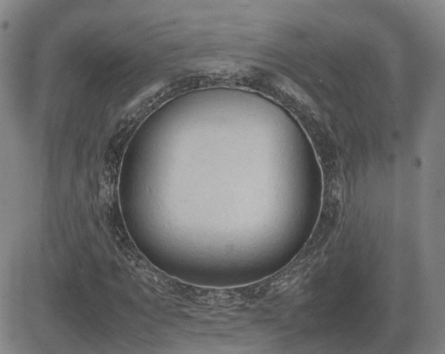 X0000085010869200703051244