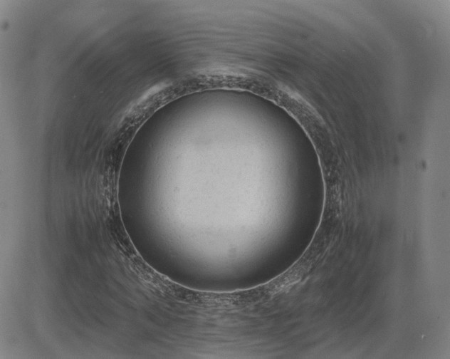X0000085010870200703051244