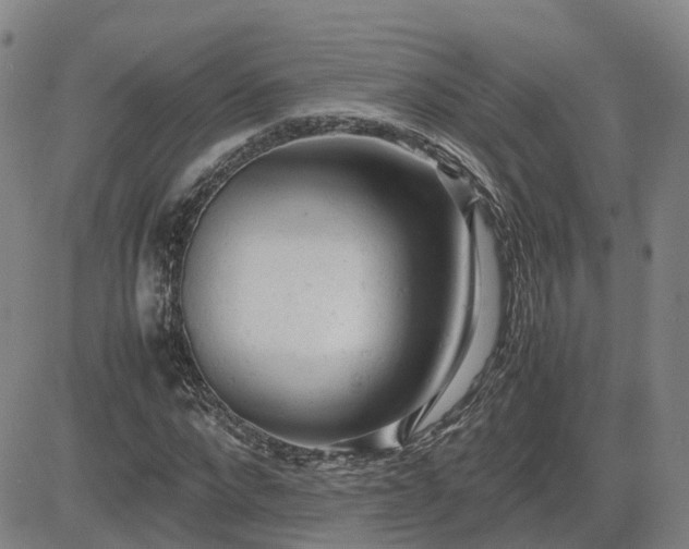 X0000085010872200703051244
