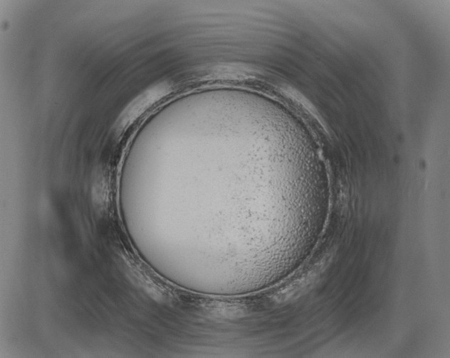 X0000085010874200703051244