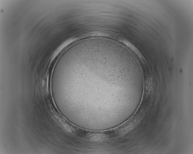 X0000085010886200703051244