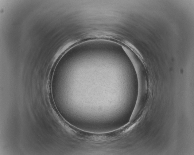 X0000085010893200703051244