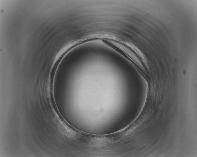 X0000085010894200703051244