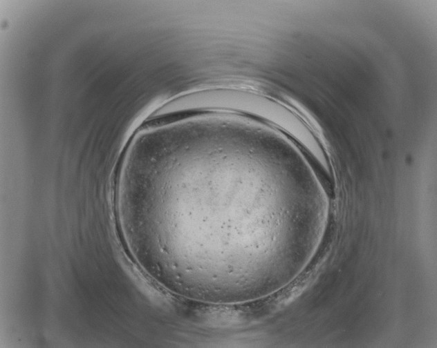 X0000085010907200703051244