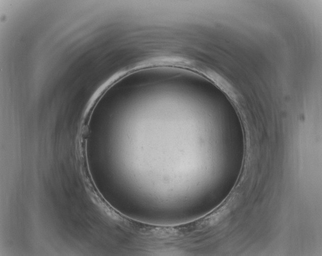 X0000085010912200703051244