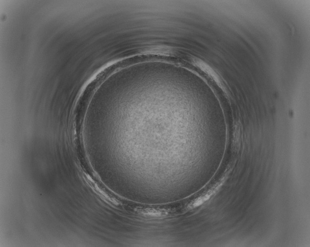 X0000085010923200703051243