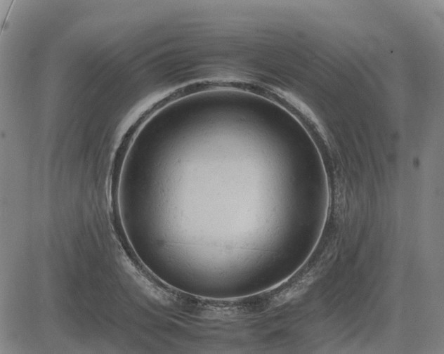 X0000085010935200703051243