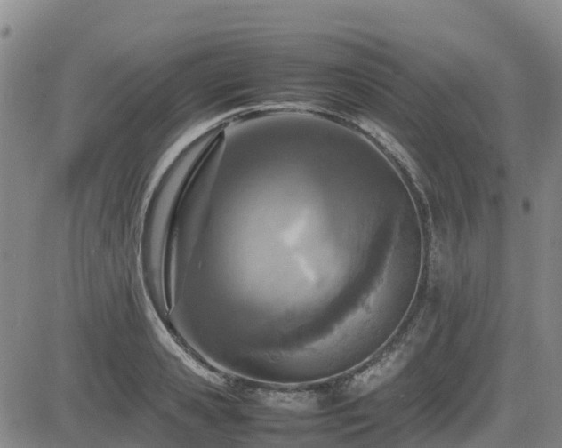 X0000085010941200703051243