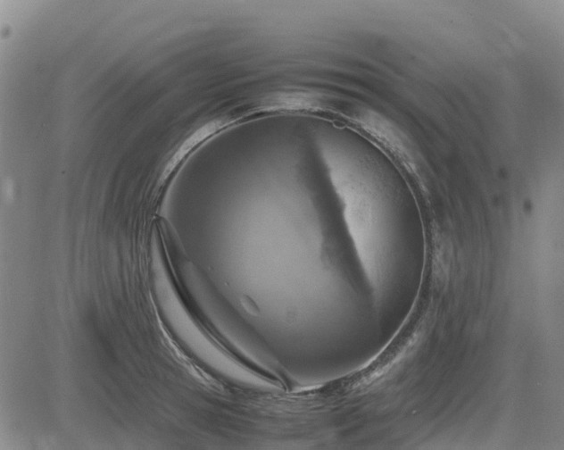 X0000085010945200703051243