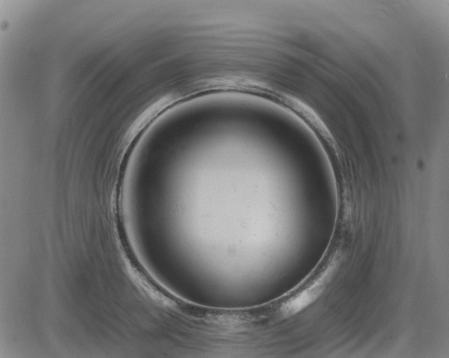 X0000085010946200703051243