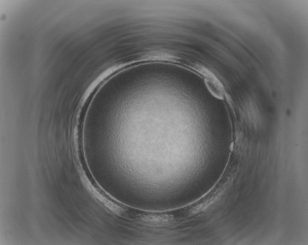 X0000085010947200703051243