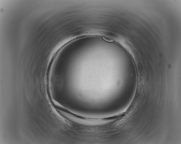 X0000085010951200703051244